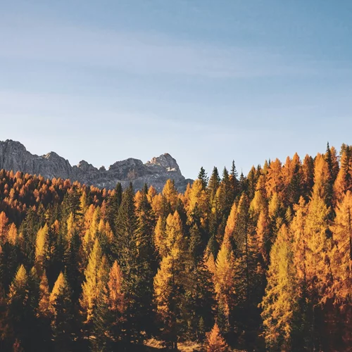 Τα ζώδια σήμερα 30/10 | Ημερήσιες προβλέψεις για κάθε ζώδιo