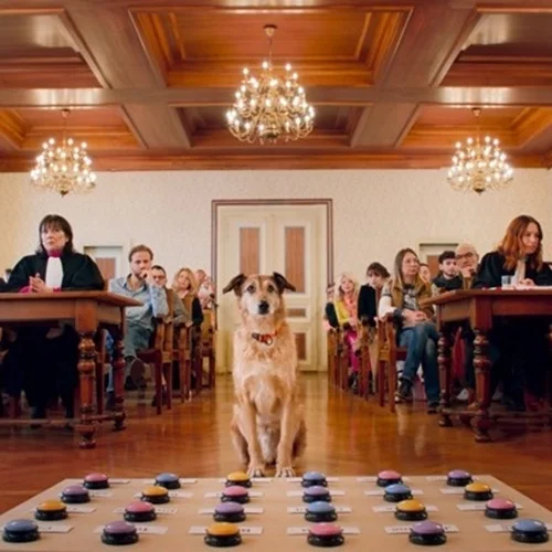 Ταινίες Πρώτης Προβολής | Ο Βrad Pitt στο βολάν κι ένας σκύλος στο εδώλιο του κατηγορούμενου