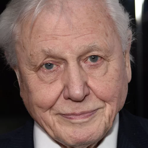 Ο σερ David Attenborough υποψήφιος για Νόμπελ Ειρήνης