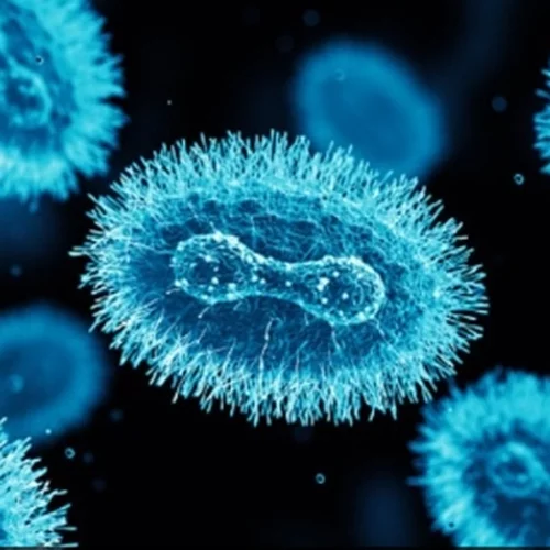 Mελέτη | Η ευλογιά των πιθήκων μπορεί να προκαλέσει εγκεφαλίτιδα και επιληπτικές κρίσεις