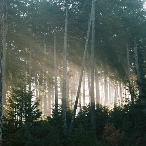 Ανακαλύψαμε τα προϊόντα που θα σου χαρίσουν νεανική όψη σε μόλις 2 εβδομάδες
