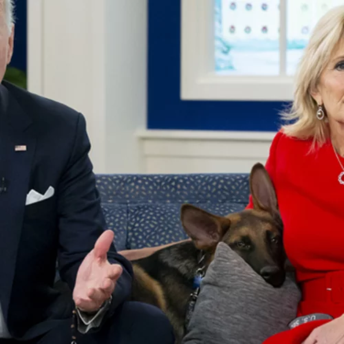 Τα κατοικίδια των Προέδρων και των Πρωθυπουργών