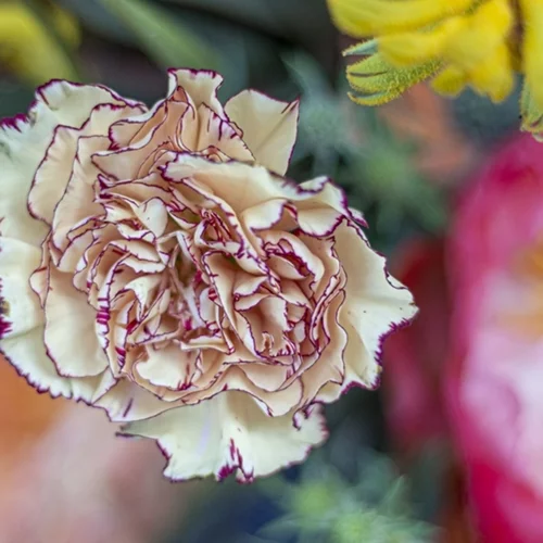 Εορτολόγιο | Ποιος γιορτάζει σήμερα Μεγάλη Παρασκευή