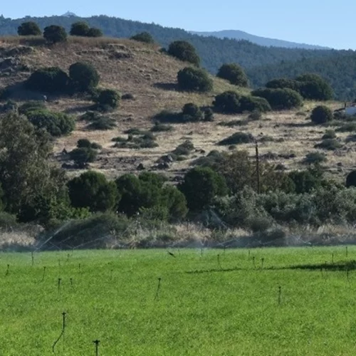 Στη Δυτική Λέσβο η αρχαιολογική σκαπάνη για να έρθει στο φως η αρχαία Αρίσβη