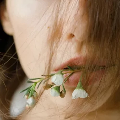 7 τροφές που εξαφανίζουν την κακοσμία στόματος