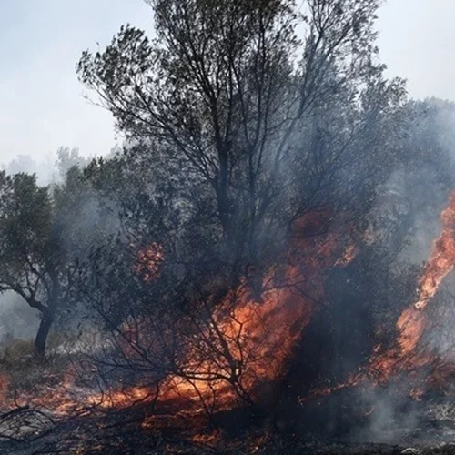 Δύσκολη παραμένει η κατάσταση με τη φωτιά στη Ρόδο