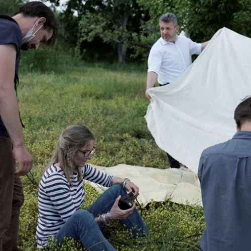 Μαριάννα Οικονόμου | "Όταν μου πρότειναν από τον Dior να γυρίσω το ντοκιμαντέρ τους νόμιζα ότι κάτι είχαν καταλάβει λάθος"