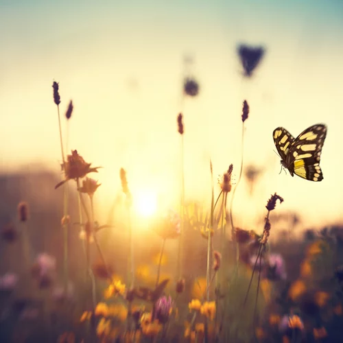 Τα ζώδια σήμερα 14/03 | Ημερήσιες προβλέψεις για κάθε ζώδιο