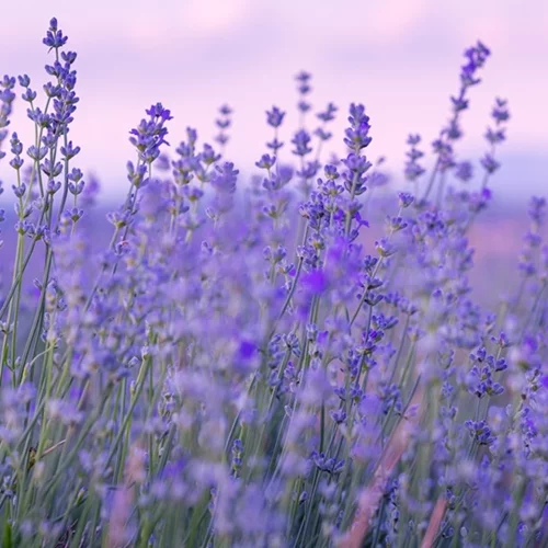 Εορτολόγιο | Ποιος γιορτάζει σήμερα Μεγάλη Πέμπτη