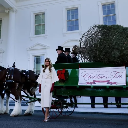 Melania Trump | Η πρώτη κυρία υποδέχεται την εορταστική περίοδο καλωσορίζοντας το χριστουγεννιάτικο δέντρο του Λευκού Οίκου