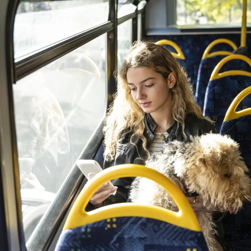 Στάση εργασίας σε ΜΜΜ την Πέμπτη 15 Ιουνίου | Χωρίς τρόλεϊ για 4 ώρες