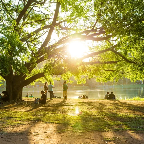 Δάση και χώροι πρασίνου μειώνουν τους κινδύνους για την υγεία