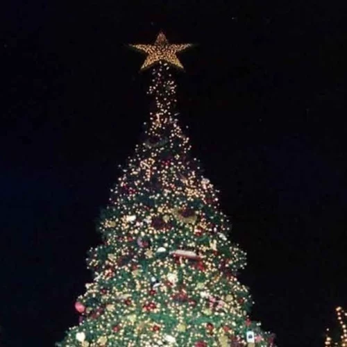 Την Πέμπτη θα ανάψει στο Σύνταγμα το χριστουγεννιάτικο δέντρο