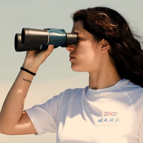 Πρόγραμμα M.A.R.E. 2023 | Η Yamamay στηρίζει και προωθεί την προστασία των θαλασσών