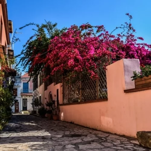 Πρόγνωση Κολυδά | Θερμή μεταφορά αερίων μαζών από την Αφρική τη Μ. Εβδομάδα - Πάσχα με λιακάδα