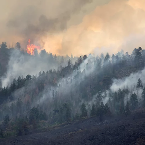 Φωτιά στη Λακωνία | Μαίνεται το μέτωπο στην Ανατολική Μάνη