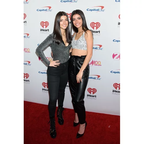 Charli D’Amelio | Η 17χρονη TikToker που βγάζει περισσότερα χρήματα από τους κορυφαίους CEOs του κόσμου