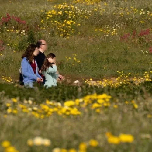 Αίθριος ο καιρός σήμερα με άνοδο της θερμοκρασίας - Ερχεται ανοιξιάτικο Σαββατοκύριακο
