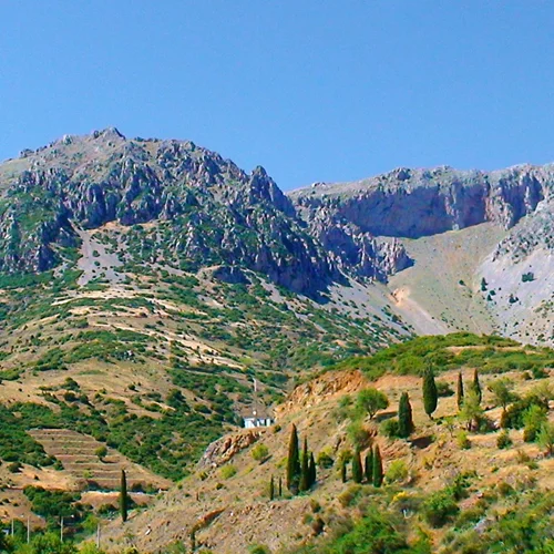 Κρανίου τόπος το δάσος της Δαδιάς - Συγκλονιστικές εικόνες από το πριν και το μετά της καταστροφικής πυρκαγιάς