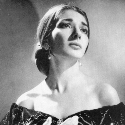 ΕΛΣ | Εγκαινιάζεται την Πέμπτη η εγκατάσταση "Visualising the Voice of Maria Callas"