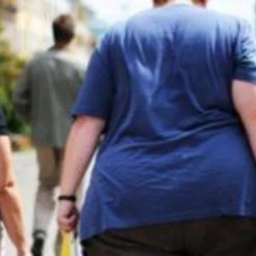 Υψηλά επίπεδα σωματικού λίπους σχετίζονται με την ανάπτυξη Αλτσχάιμερ και Πάρκινσον