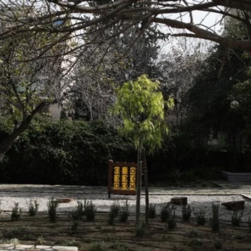 Η αναγκαιότητα των δέντρων της Αθήνας και οι προκλήσεις που αντιμετωπίζουν