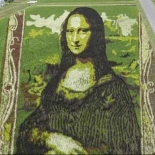 Η "Mona Lisa" σε ρυζοχώραφο στην Ιαπωνία