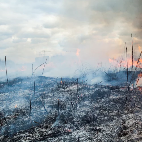 Φωτιά στην Αρχαία Ολυμπία | Αναζωπύρωση στην περιοχή Βασιλάκι - Τέσσερις κοινότητες σε έκτακτη ανάγκη