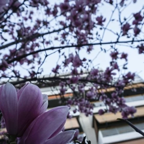 Με ανοιξιάτικο καιρό μας αποχαιρετά ο Μάρτιος - Εως 20 βαθμούς σήμερα ο υδράργυρος