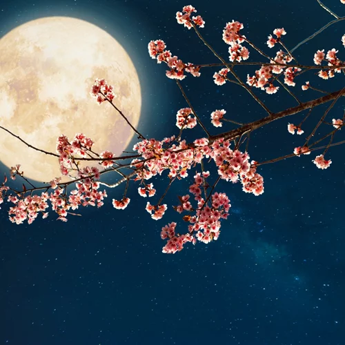 Ροζ Πανσέληνος Απριλίου: Τα 4 ζώδια που επηρεάζονται από το φεγγάρι της άνοιξης