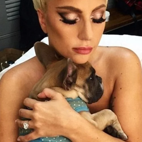 Lady Gaga | Σοκ στο Hollywood με δολοφονική επίθεση και 4 πυροβολισμούς