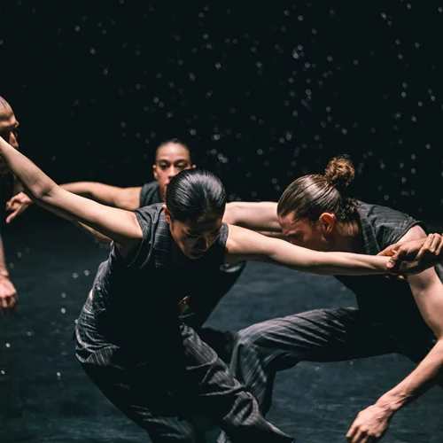 Nederlands Dans Theater | Η κορυφαία ομάδα σύγχρονου χορού επιστρέφει στο Μέγαρο με ένα υπέροχο χορευτικό τρίπτυχο