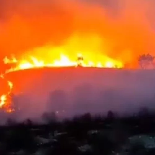 Εκκενώθηκε ο Κρεμαστός Ευβοίας | Σε απόσταση αναπνοής από τα σπίτια οι φλόγες - Ενισχύθηκαν ξανά οι πυροσβεστικές δυνάμεις