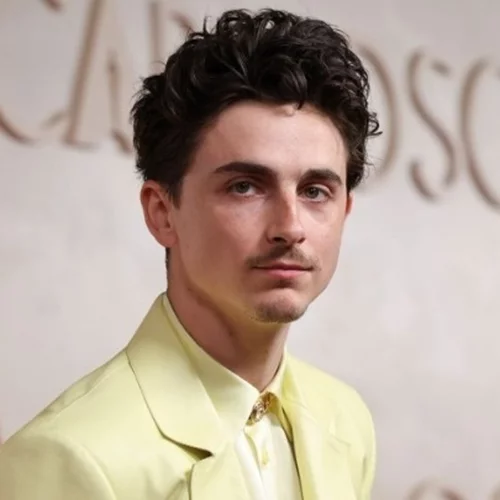 Η Ιταλική Ακαδημία Κινηματογράφου θα τιμήσει τον Timothée Chalamet