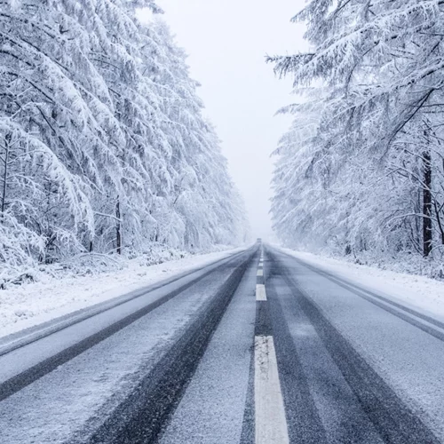 Κακοκαιρία "Barbara"| Πούλμαν εγκλωβίστηκε στο καταφύγιο της Δίρφυς - Επιστρέφουν με τα πόδια οι 40 επιβάτες