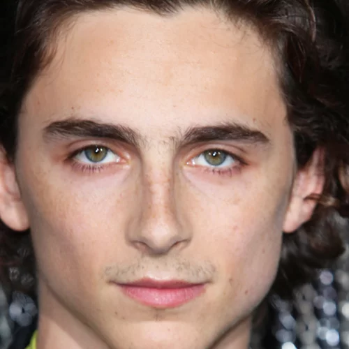 Timothée Chalamet | Αναλαμβάνει τον iconic ρόλο που είχε υποδυθεί ο Johnny Depp