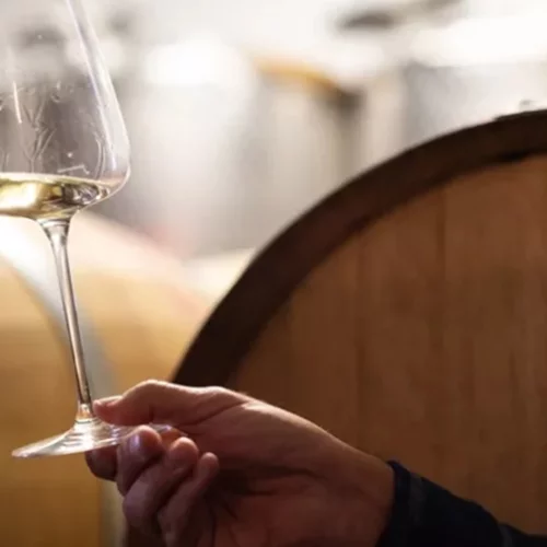 Athens Wine & Art Festival | Tο μεγαλύτερο φεστιβάλ κρασιού και τέχνης στην Ελλάδα επιστρέφει