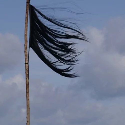 Το Ιράν φλέγεται | Μια σημαία από κομμένα μαλλιά αποτυπώνει όλη την οργή των γυναικών στο Ιράν