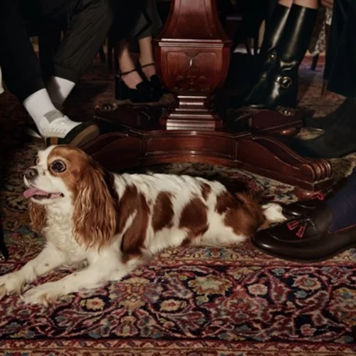 Απόλαυσε την απόλυτη shopping εμπειρία στο ανανεωμένο ηλεκτρονικό κατάστημα Kalogirou