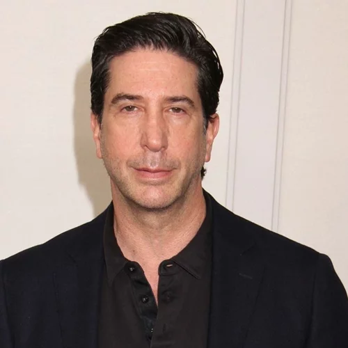 David Schwimmer | Τι αποκάλυψε για τη σχέση του με τον Matthew Perry