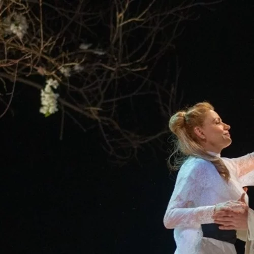 "Πλατόνοφ" του Τσέχωφ σε σκηνοθεσία Adolf Shapiro στο Δημοτικό Θέατρο Πειραιά