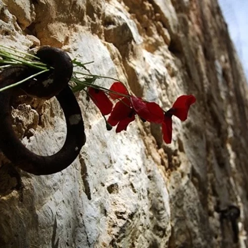 Πρωτομαγιά και κινηματογράφος - Κλασικές ταινίες που ταυτίστηκαν με τους εργατικούς αγώνες