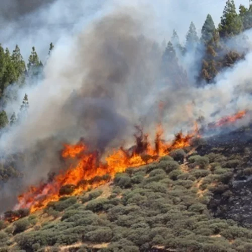 Αυξημένη επικινδυνότητα για δασικές πυρκαγιές από σήμερα