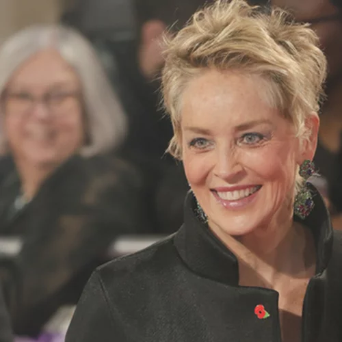 Κάτι ανάμεσα σε φόρεμα και παλτό: Η νέα εμφάνιση της Sharon Stone, χρίζει αντιγραφής