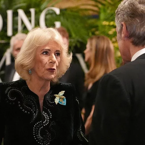 H μονομαχία της καρφίτσας | Το κρυφό νόημα πίσω από τα κοσμήματα της βασίλισσας Καμίλα και της Sophie του Εδιμβούργου