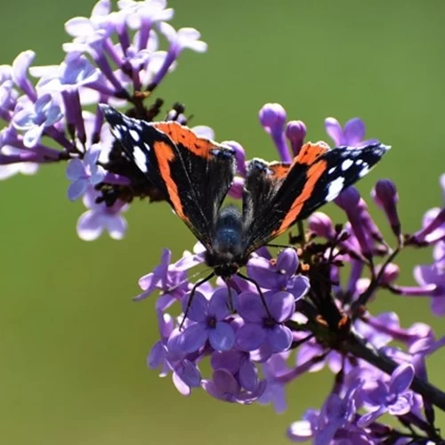 Με σκαμπανεβάσματα ο καιρός όλη τη Μεγάλη Εβδομάδα | Από καταιγίδες σε... άνοιξη - Πώς θα σουβλίσουμε