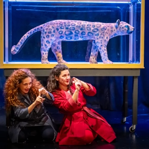 Το θρυλικό "Καπλάνι της Βιτρίνας" της Άλκης Ζέη στην Κεντρική Σκηνή του Ιδρύματος Μιχάλης Κακογιάννης