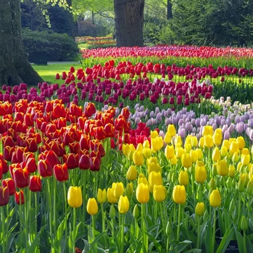 Εορτολόγιο | Ποιος γιορτάζει σήμερα Μεγάλη Τρίτη