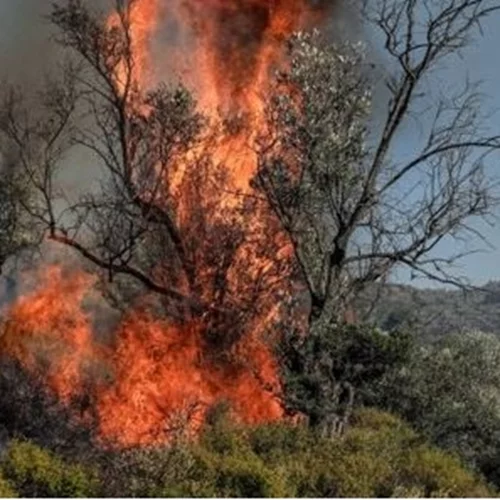 Φωτιά τώρα στο Μαύρο Λιθάρι: Μήνυμα 112 για εκκένωση, έκλεισε η Αθηνών - Σουνίου