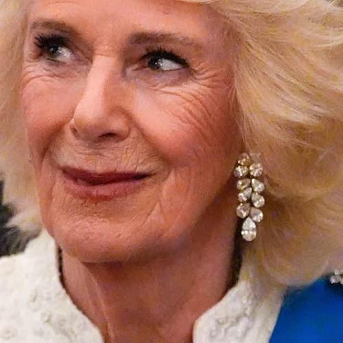 Βασίλισσα Καμίλα | Εμφάνιση - έκπληξη με τη νυφική τιάρα της πριγκίπισσας Ευγενίας, σε δεξίωση στο Winsdor